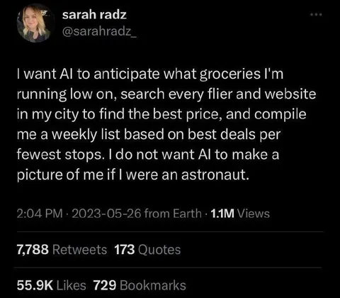 AI Grocery Shopping, Not Astronauts