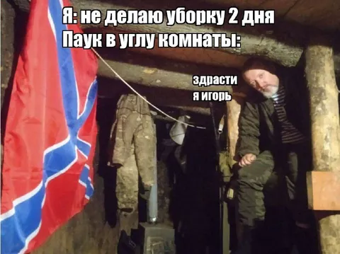 Паук в углу комнаты Игорь