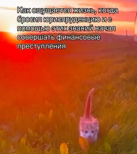 Когда бросил юриспруденцию
