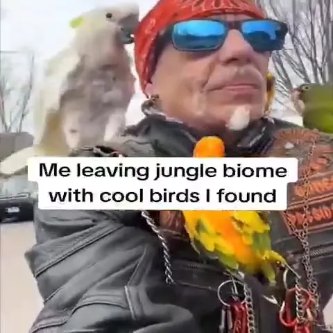 Leaving the Jungle Biome