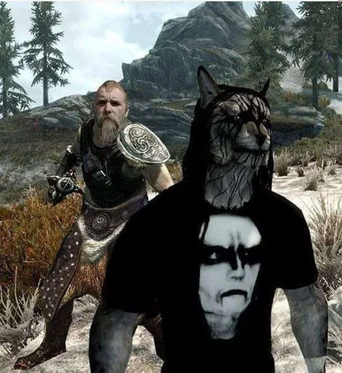 Кот в броне Skyrim