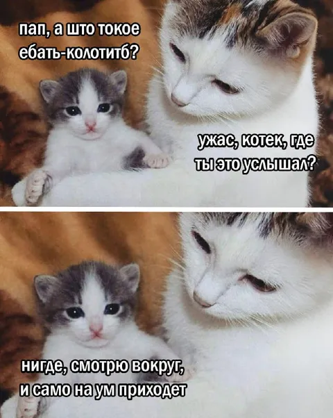 Само на ум приходит