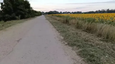 Вечерняя покатушка по Кубани