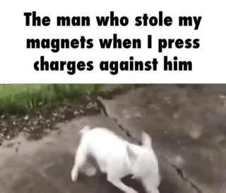 Cat Charges the Magnet Thief