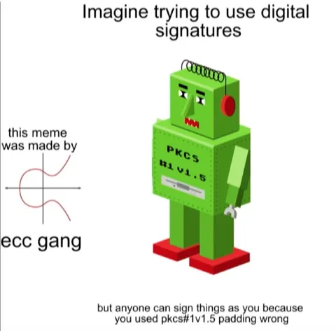 Digital Signatures Gone Wrong