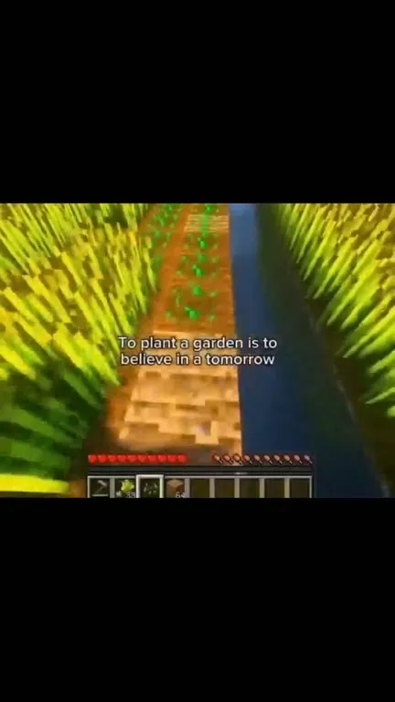 Minecraft Cornfield Chase