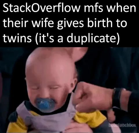 StackOverflow Duplicate Twins