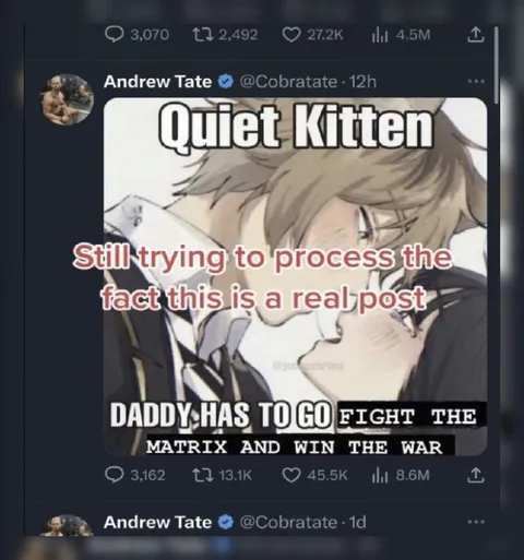 Quiet Kitten Daddy Fights the Matrix