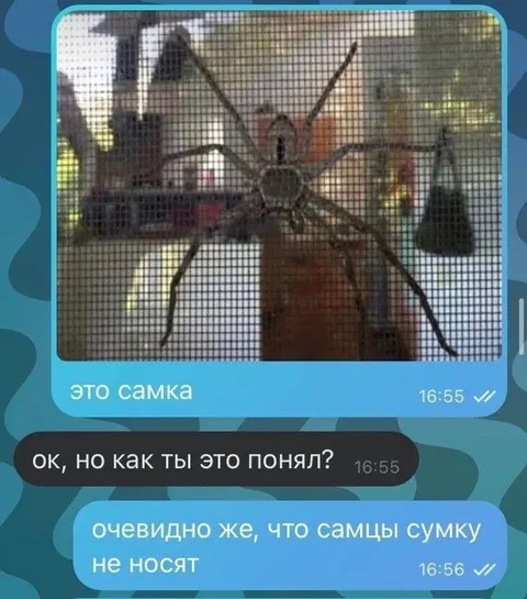 Самцы сумку не носят