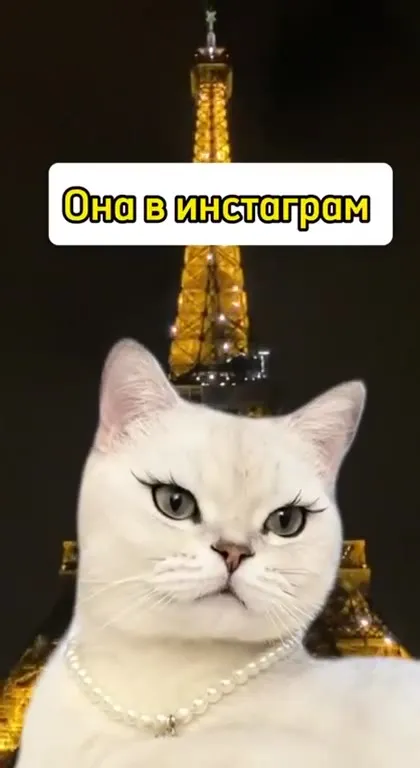 Она в инстаграм, она дома