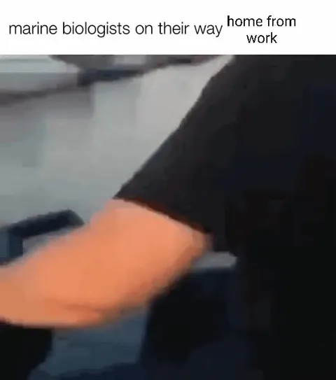 Marine Biologists Going Home