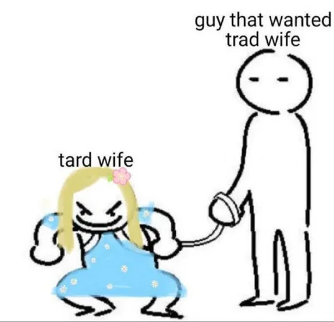 Guy Who Wanted a Trad Wife