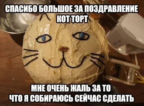 Кот-торт собирается мстить