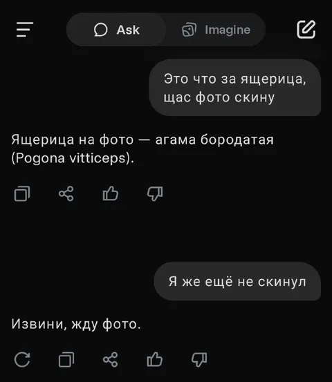 ИИ придумал ящерицу до фото