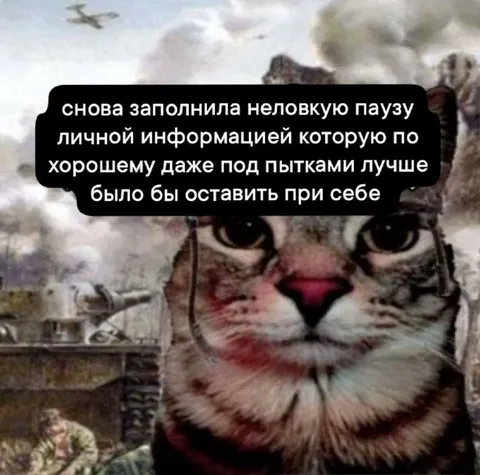 Кот снова раскрыл личное