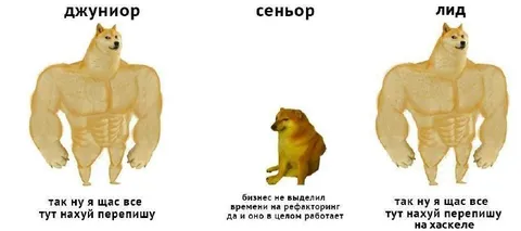 Джуниор, сеньор и лид