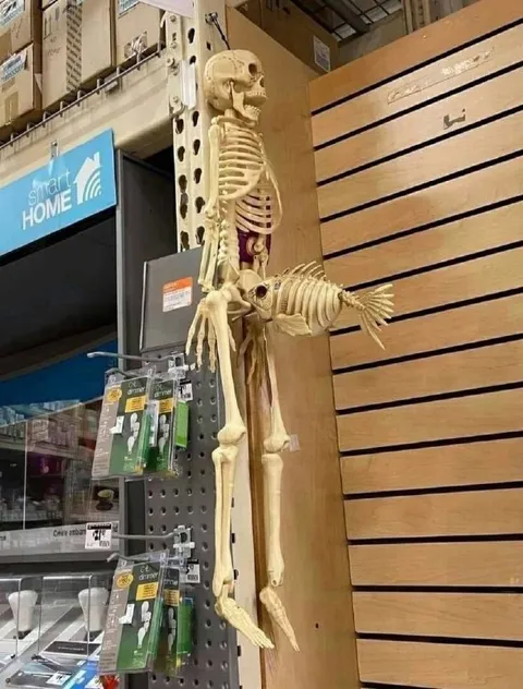 Skeleton Working in the Store