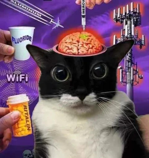 Conspiracy Cat Brain Injection