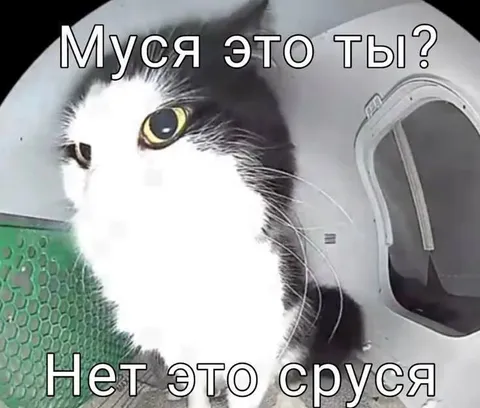 Муся отрицает очевидное