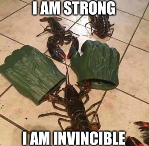 Strong and Invincible Lobster