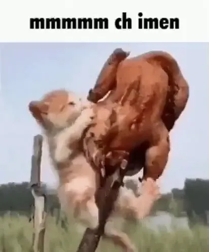 Mmmmm Chicken Attack