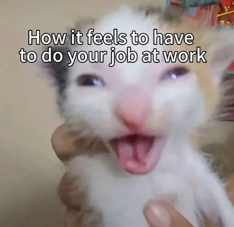 Doing Your Job at Work