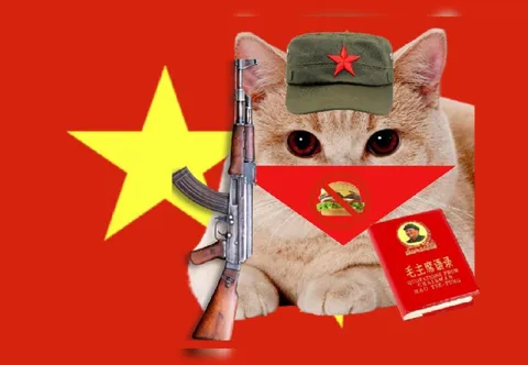 Communist Cat With Mao Quotes