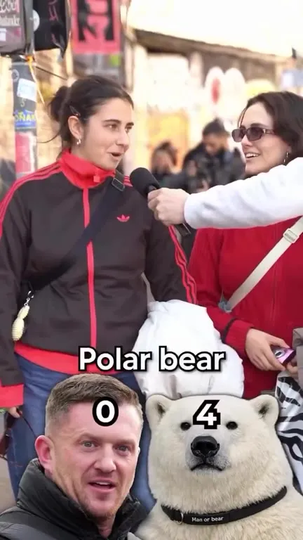 Polar Bear Wins Every Interview