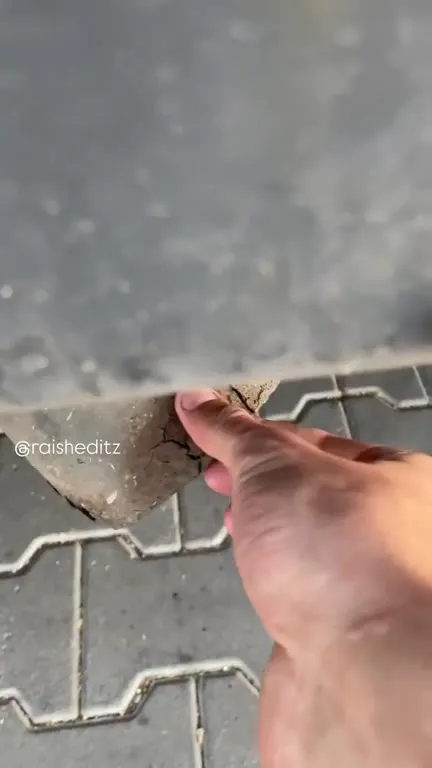 Кто-то грызёт машину