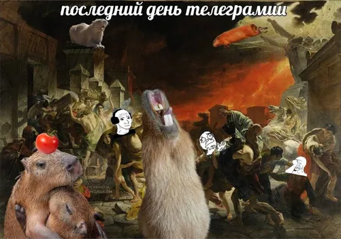 Последний день телеграмиш