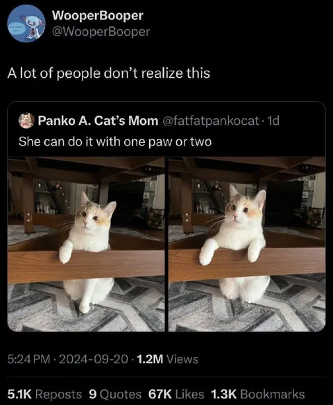 Cat Uses One Paw or Two