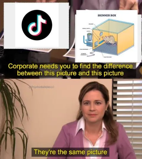 TikTok and Skinner Box Are the Same