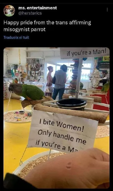Trans Affirming Misogynist Parrot