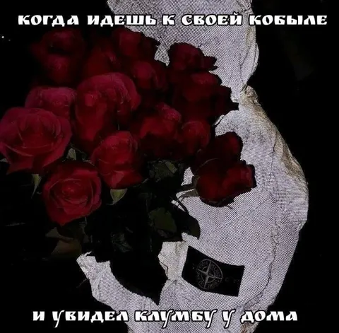 Когда увидел клумбу у дома