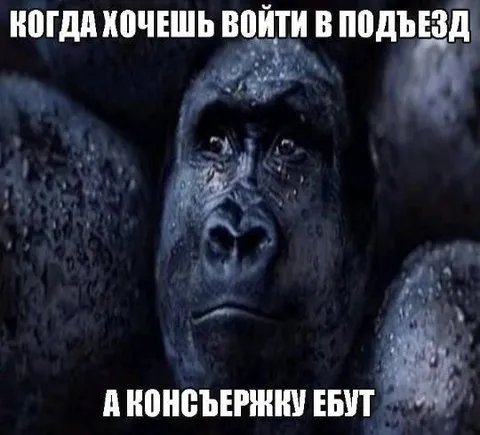Когда хочешь войти в подъезд