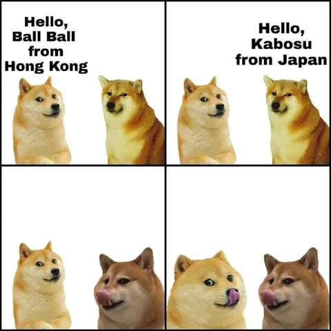 Doge Meets Kabosu