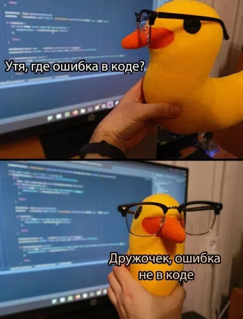 Утка ищет ошибку в коде