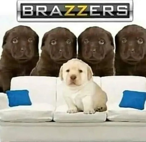 Brazzers Puppy Family Parody