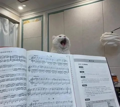 猫咪对着乐谱高歌