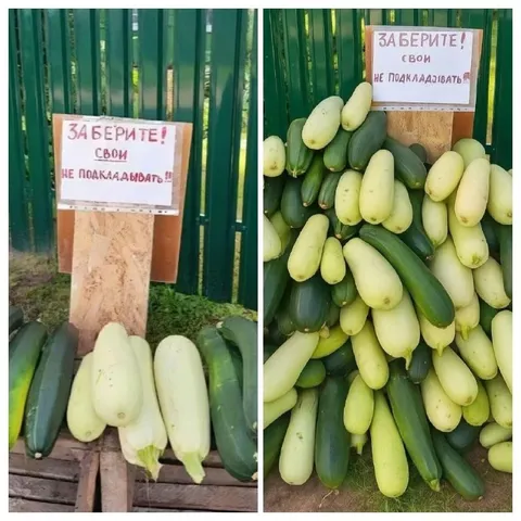 Заберите свои кабачки