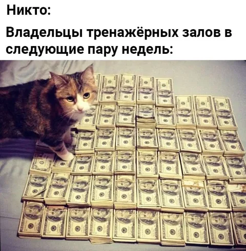 Владельцы залов богатеют