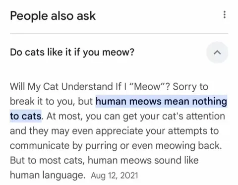 Human Meows Mean Nothing to Cats