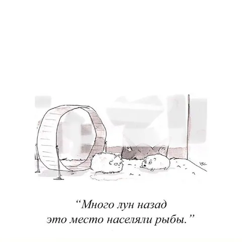 Мыши вспоминают древний океан