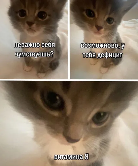 Дефицит витамина я