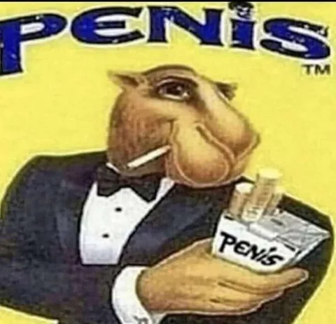 Camel Selling Penis