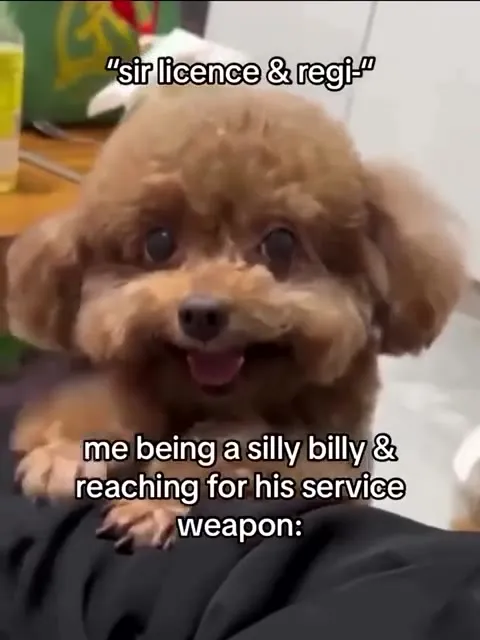 Cute Dog Reaches for His Service Weapon
