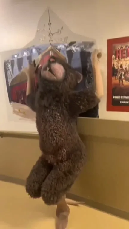 Крысы танцуют под Big Boy