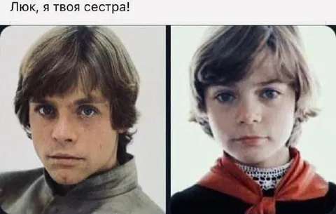 Люк, я твоя сестра