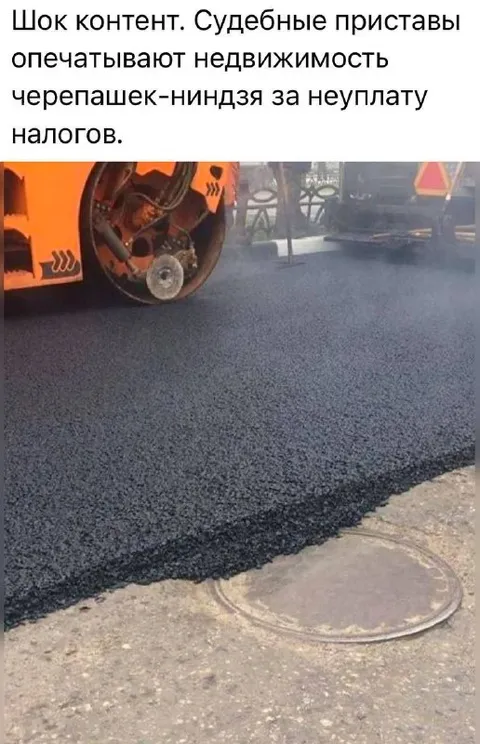 Приставы опечатывают недвижимость черепашек-ниндзя