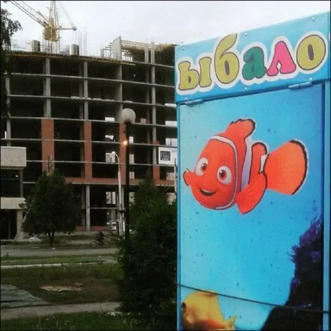 Выбало на фоне стройки